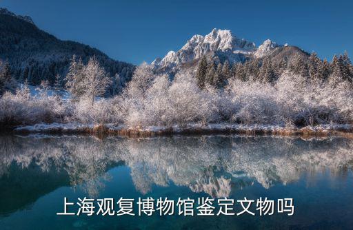 上海觀復博物館鑒定文物嗎