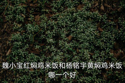 魏小寶紅燜雞米飯和楊銘宇黃燜雞米飯哪一個好