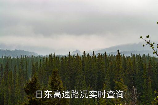 日東高速路況實時查詢