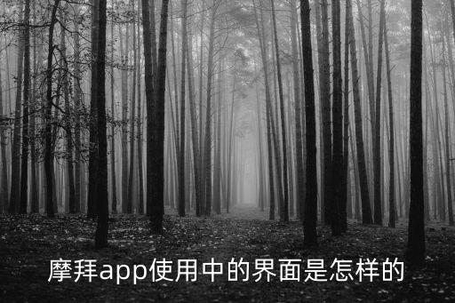 摩拜app使用中的界面是怎樣的