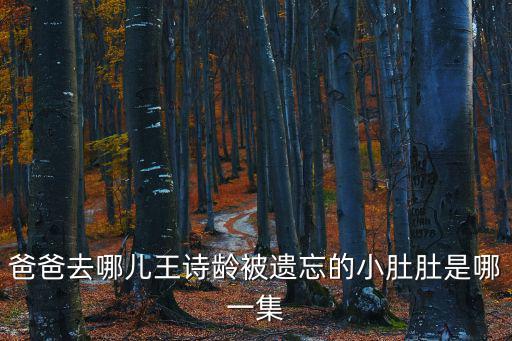爸爸去哪兒王詩齡被遺忘的小肚肚是哪一集