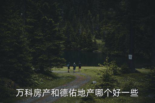 萬科房產和德佑地產哪個好一些