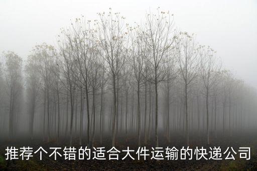 推薦個(gè)不錯(cuò)的適合大件運(yùn)輸?shù)目爝f公司