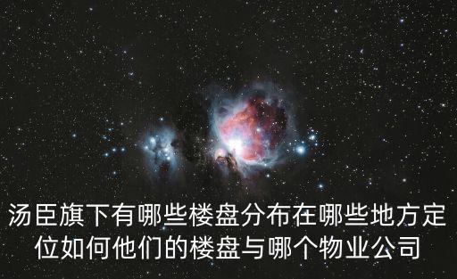 湯臣旗下有哪些樓盤分布在哪些地方定位如何他們的樓盤與哪個(gè)物業(yè)公司