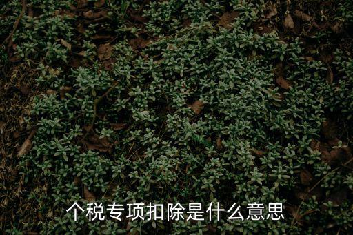 個稅專項，個稅專項附加扣除