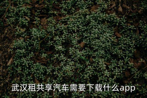 武漢租共享汽車需要下載什么app