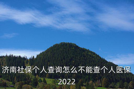 濟南社保個人查詢怎么不能查個人醫(yī)保2022