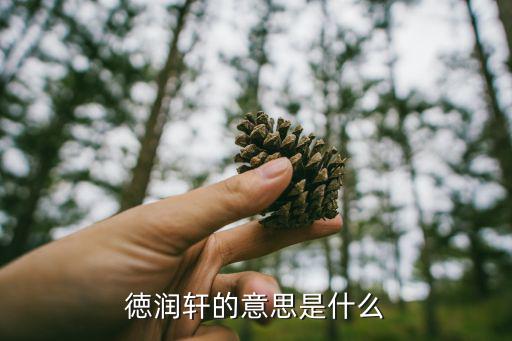 徳潤軒的意思是什么