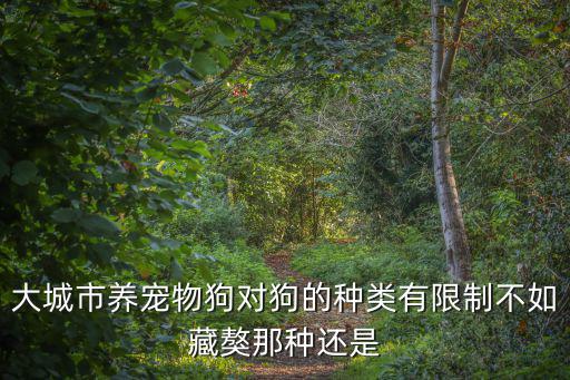 城市禁養(yǎng)犬種，大城市養(yǎng)寵物狗對狗的種類有限制不如藏獒那種還是