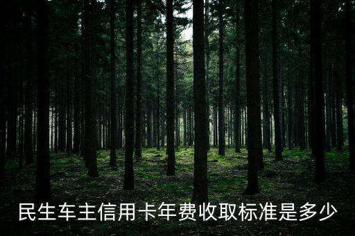 民生車主信用卡年費收取標準是多少