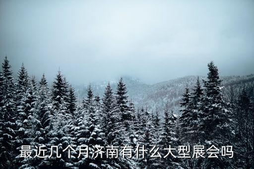 最近幾個月濟南有什么大型展會嗎