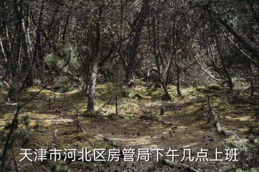 房管局上班時間，天津市河北區房管局下午幾點上班