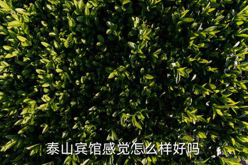 泰山賓館感覺怎么樣好嗎