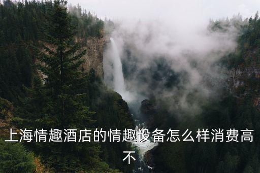 上海情趣酒店的情趣設(shè)備怎么樣消費高不