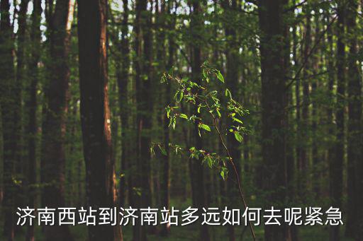 濟南西站到濟南站多遠如何去呢緊急