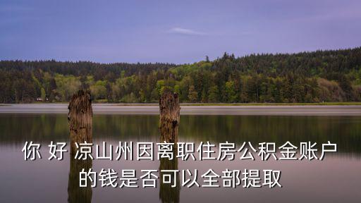 你 好 涼山州因離職住房公積金賬戶的錢是否可以全部提取