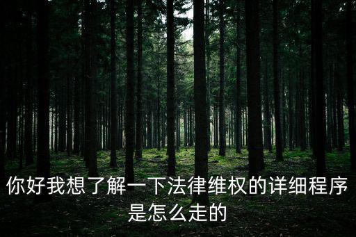 你好我想了解一下法律維權的詳細程序是怎么走的