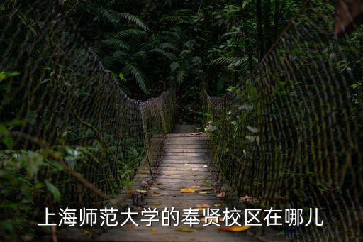 上海師范大學(xué)的奉賢校區(qū)在哪兒