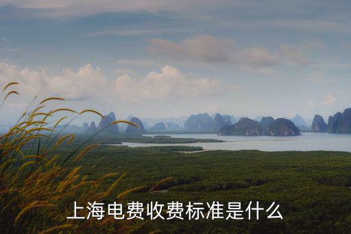 上海電費收費標準是什么