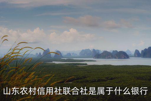 山東農(nóng)村信用社聯(lián)合社，山東省農(nóng)村信用社