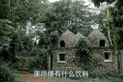 康師傅有什么飲料