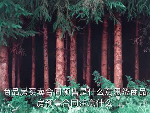 商品房買賣合同預(yù)售是什么意思簽商品房預(yù)售合同注意什么