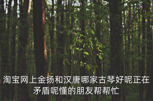 淘寶網(wǎng)上金揚(yáng)和漢唐哪家古琴好呢正在矛盾呢懂的朋友幫幫忙