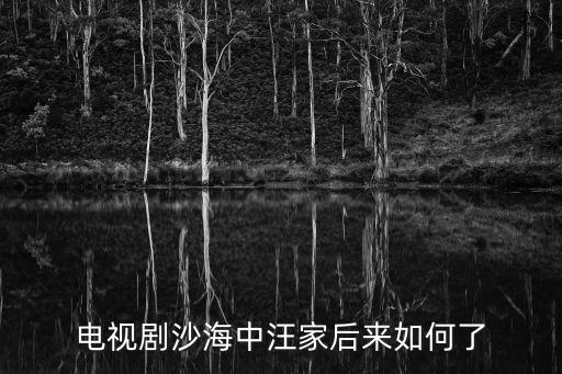 電視劇沙海中汪家后來如何了