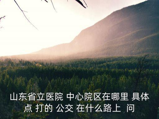 山東省立醫院 中心院區在哪里 具體點 打的 公交 在什么路上  問