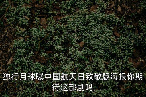 獨行月球曝中國航天日致敬版海報你期待這部劇嗎