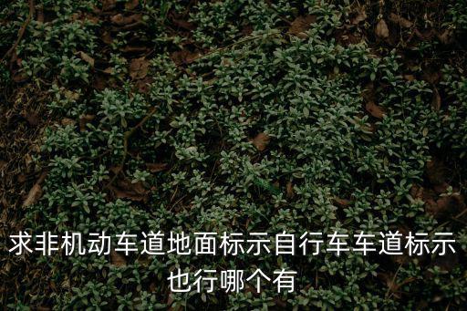 求非機動車道地面標示自行車車道標示也行哪個有