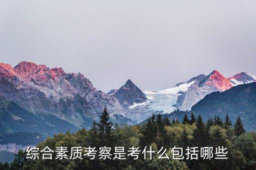 綜合素質考察是考什么包括哪些