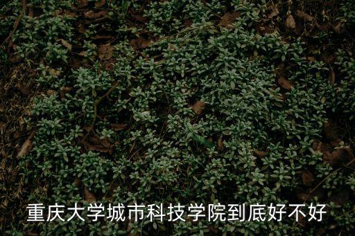 重慶大學城市科技學院到底好不好