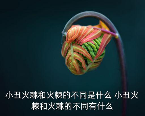 小丑火棘和火棘的不同是什么 小丑火棘和火棘的不同有什么