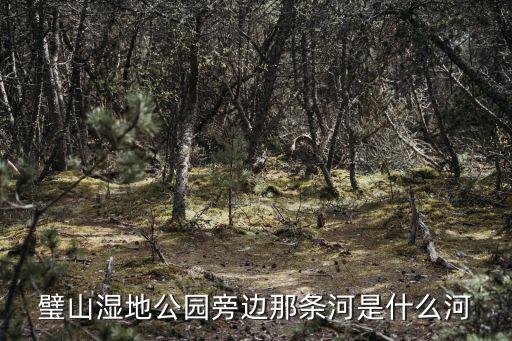 璧山濕地公園旁邊那條河是什么河