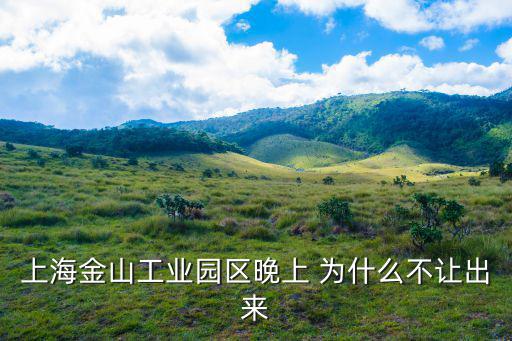 上海金山工業園區晚上 為什么不讓出來