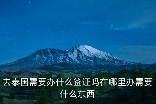 去泰國需要辦什么簽證嗎在哪里辦需要什么東西