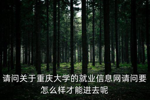 請問關于重慶大學的就業信息網請問要怎么樣才能進去呢