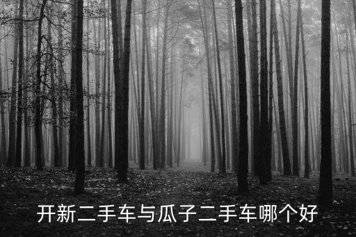 開新二手車與瓜子二手車哪個好