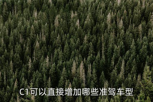 C1可以直接增加哪些準(zhǔn)駕車型