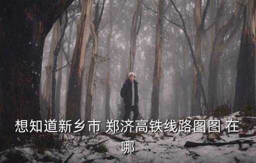 鄭濟高鐵線路圖，鄭濟高鐵經過哪些城市