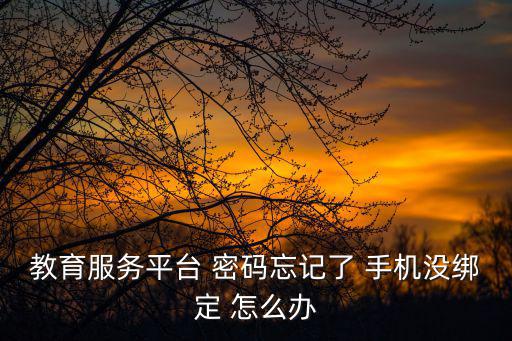 教育服務平臺 密碼忘記了 手機沒綁定 怎么辦