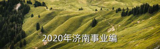 2020年濟南事業編