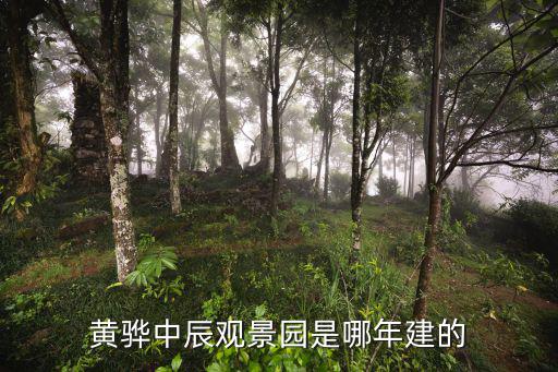 觀景園，黃驊中辰觀景園是哪年建的