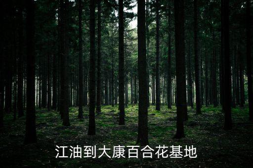 江油到大康百合花基地