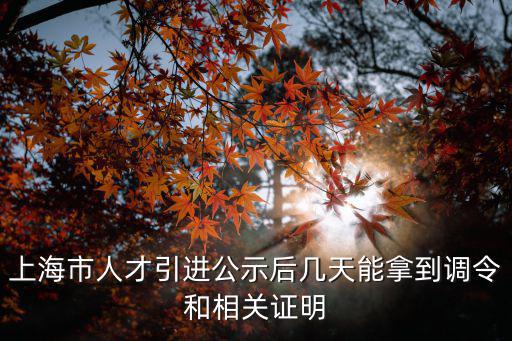 上海市人才引進(jìn)公示后幾天能拿到調(diào)令和相關(guān)證明