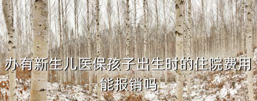 辦有新生兒醫(yī)保孩子出生時的住院費用能報銷嗎