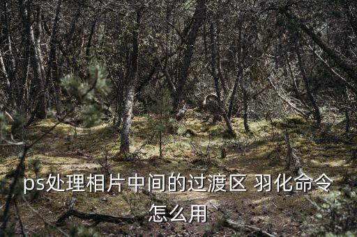 ps處理相片中間的過渡區(qū) 羽化命令怎么用