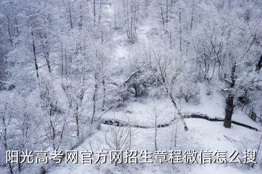陽光高考信息網，福建陽光高考信息平臺網