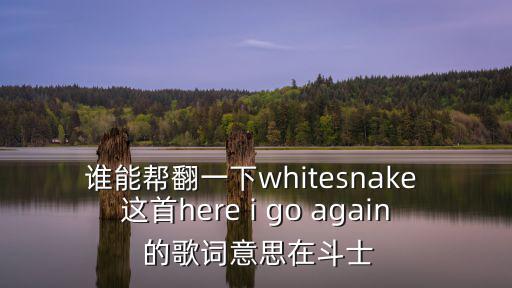 whitesnake，誰能幫翻一下whitesnake 這首here i go again 的歌詞意思在